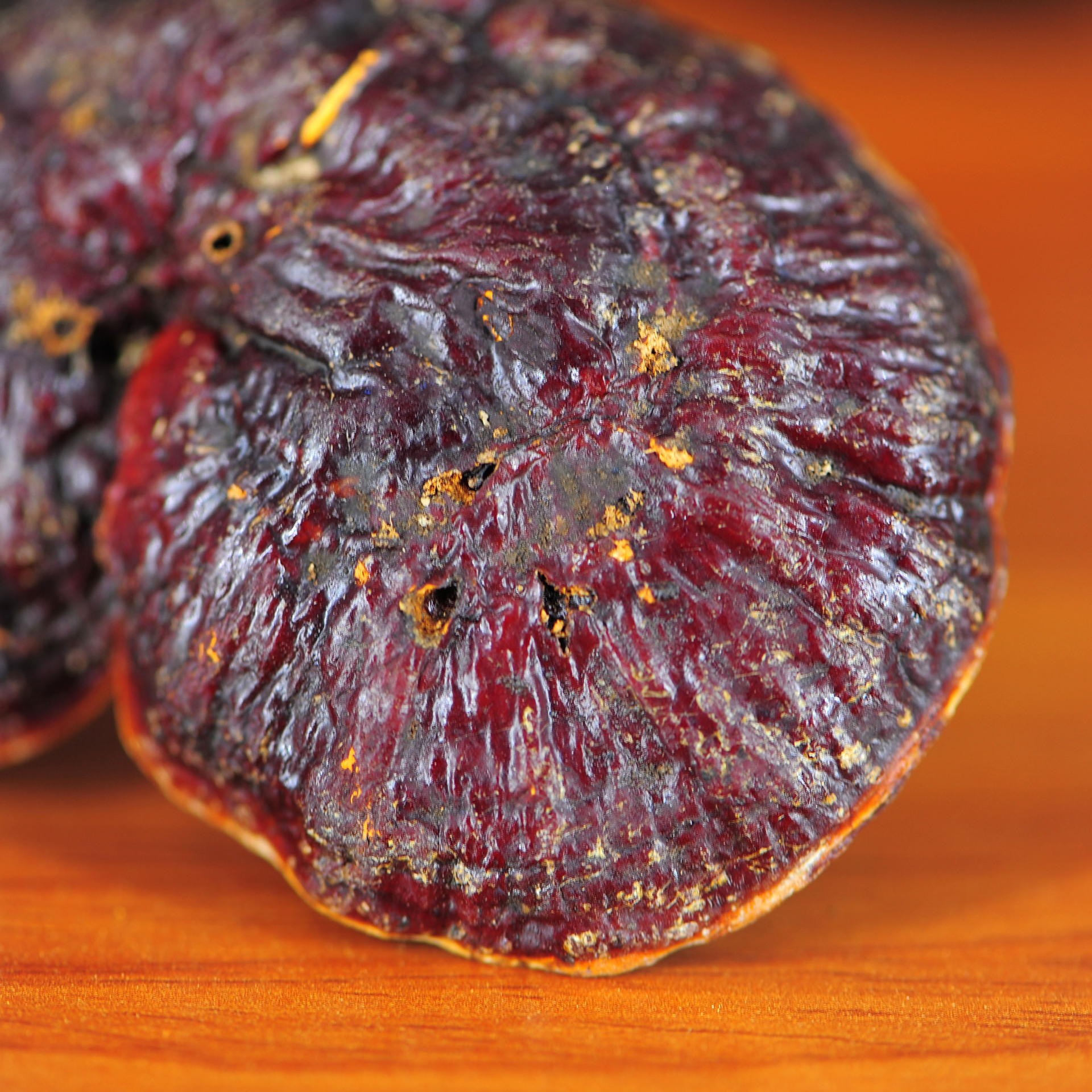 萱楠歆云南野生赤灵芝多糖 长白山野生灵芝 可食用农产品灵芝