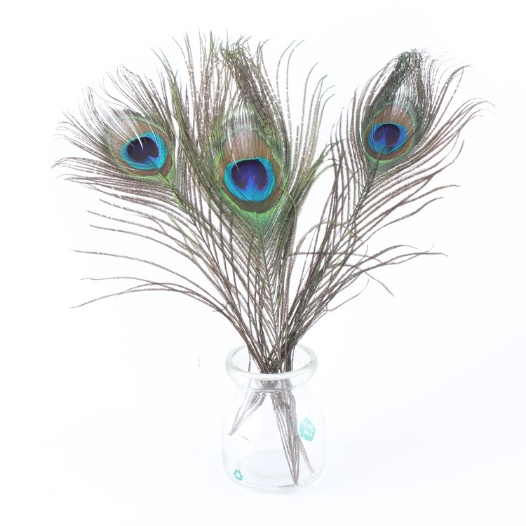 厂家大量供应孔雀毛25-110cm 孔雀羽毛批发