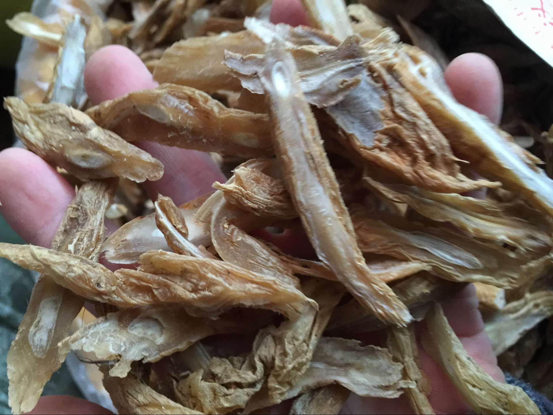 广西中药材百部 生百部 百部草 百步根 百部片各规格正品 批发