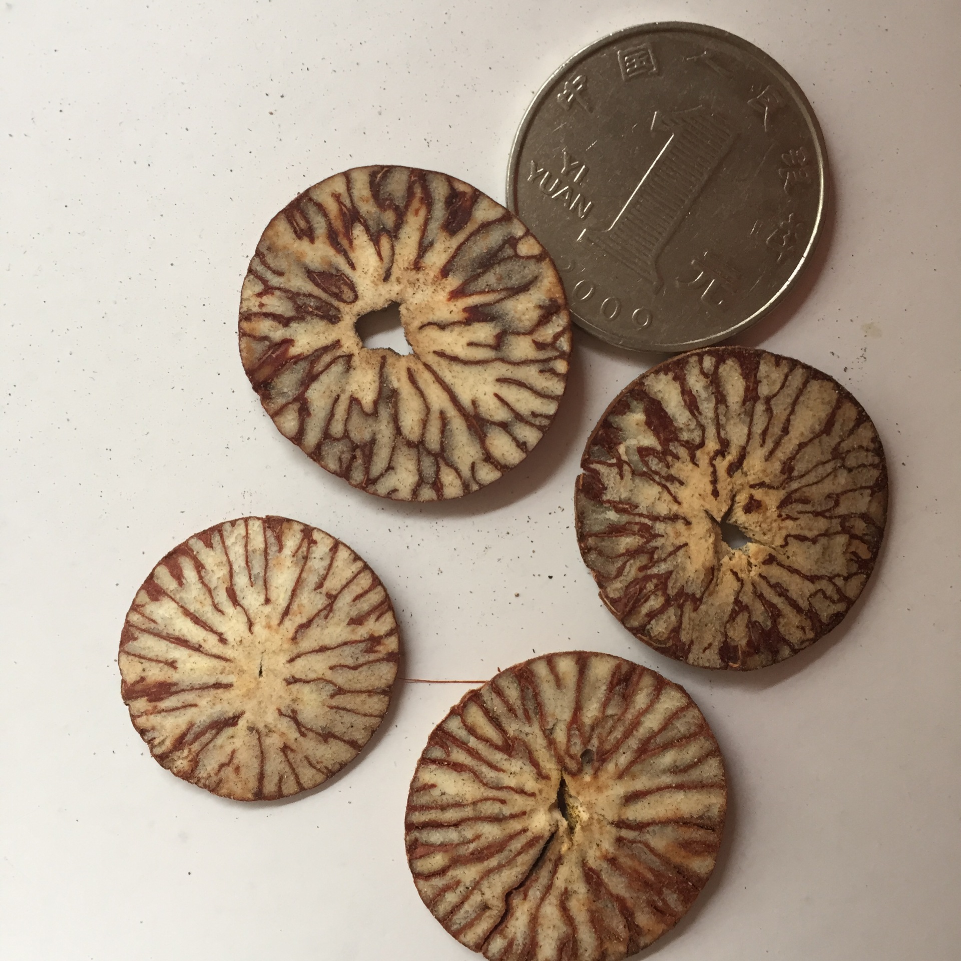 槟榔片批发 槟榔果 香料火锅用的 花槟榔