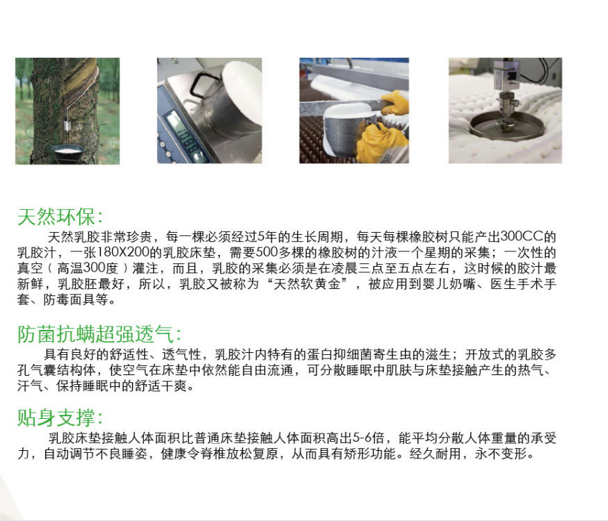 6年老店保质10年酒店专用床垫环保棕垫高分子软垫厂家直销