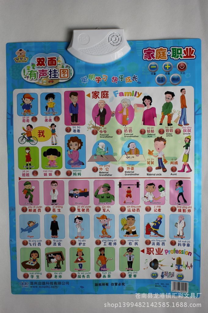 专业生产定制 家庭职业平面双面有声挂图 现货