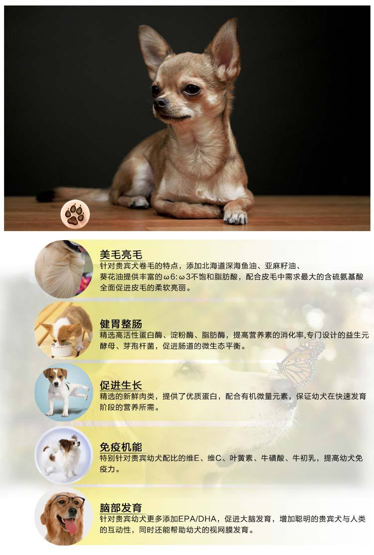 5kg奥兹天然有机粮幼犬成全狗粮批发量大联系店主