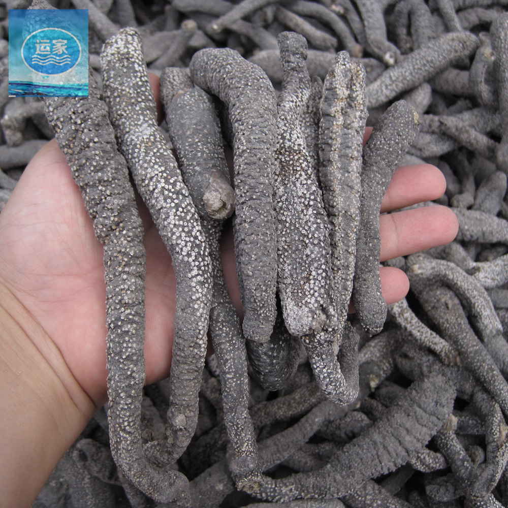 海参批发黑花蛇参白花蛇参海参干货15头肉厚发量高