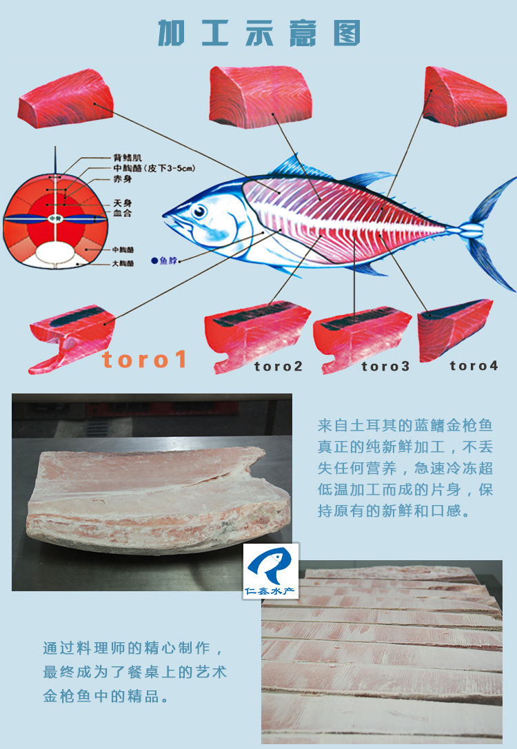 进口批发冷冻海鲜蓝鳍 金枪鱼刺身寿司材料超低温蓝鳍金枪鱼toro1