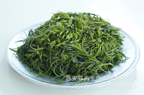 羊栖菜粉 海菜芽浸膏粉 羊栖菜浓缩粉