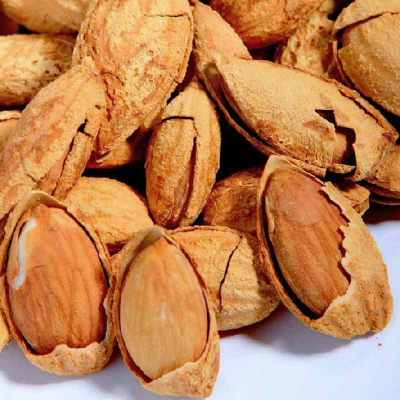 新疆特产薄壳巴旦木 500克/包 休闲干果 坚果炒货干果