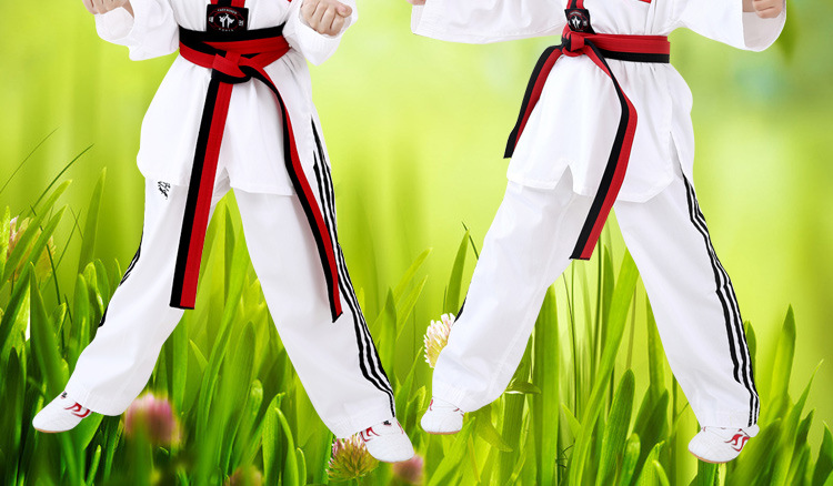 跆拳道 面料名称 棉 面料成分 棉 面料成分含量 100(%)  颜色 白色