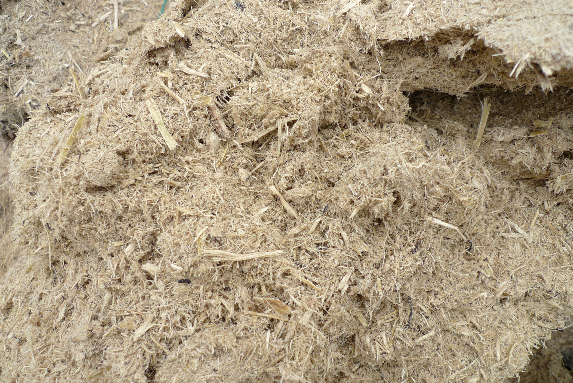 常年供应甘蔗渣细渣混合渣专业运输价廉质优为菇农服务1