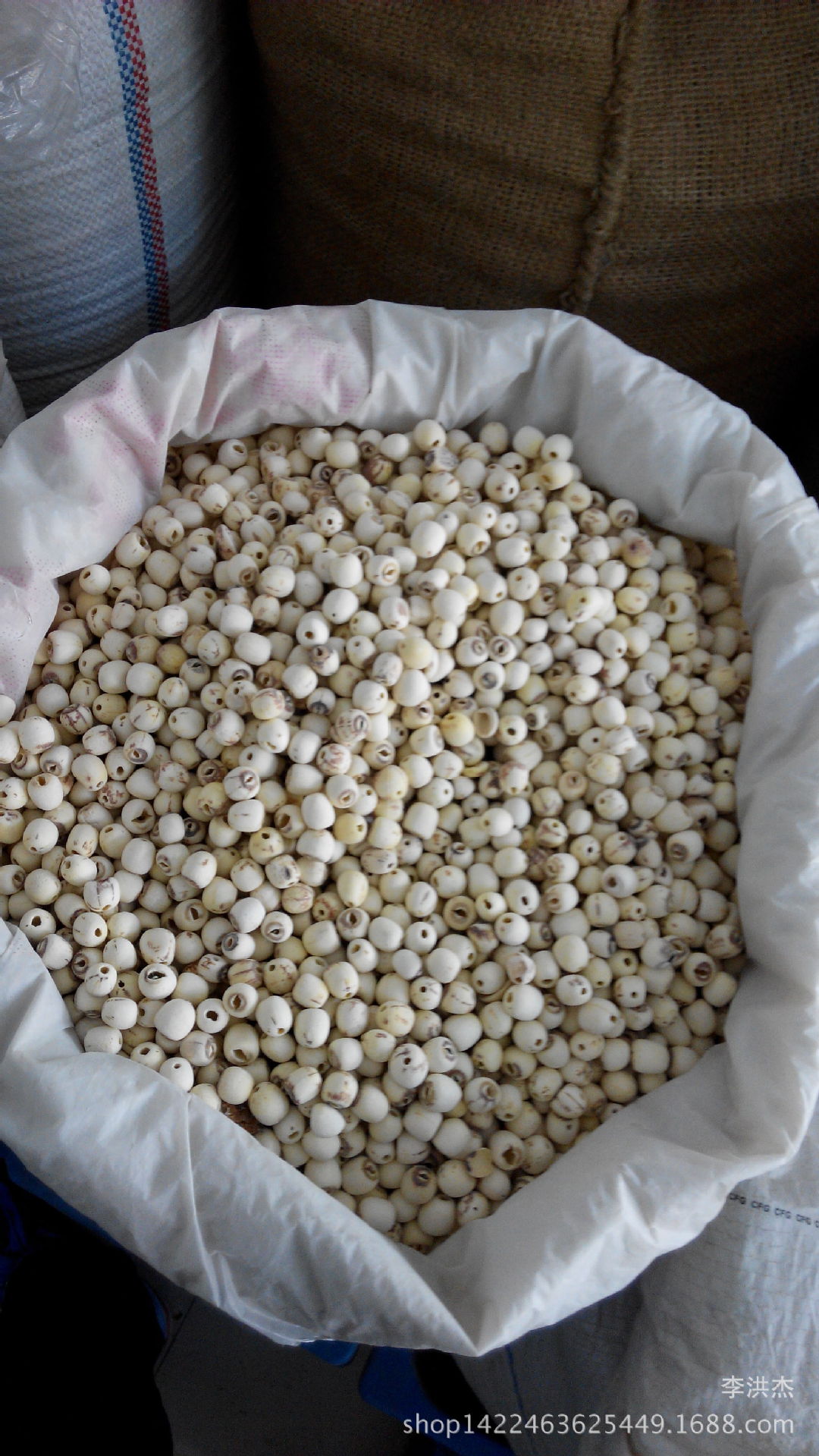 新货上市中药材,中草药 白莲子 白莲