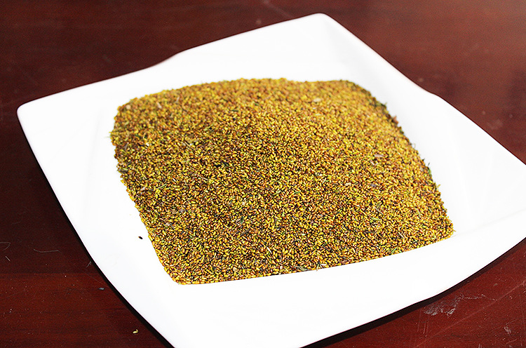 批发清热去火黄连种子 2016年秋2年生纯新种子 高纯度高.