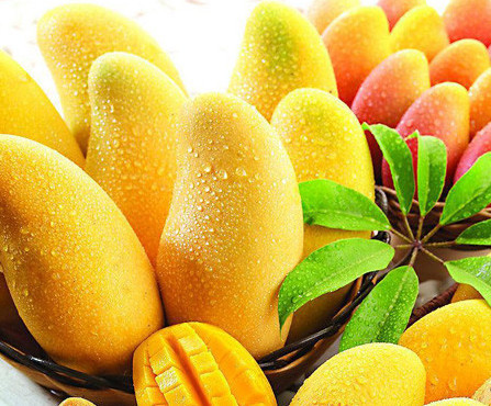 【诚信通会员】食品级氢氧化钙 水果催熟剂 芒果催熟剂