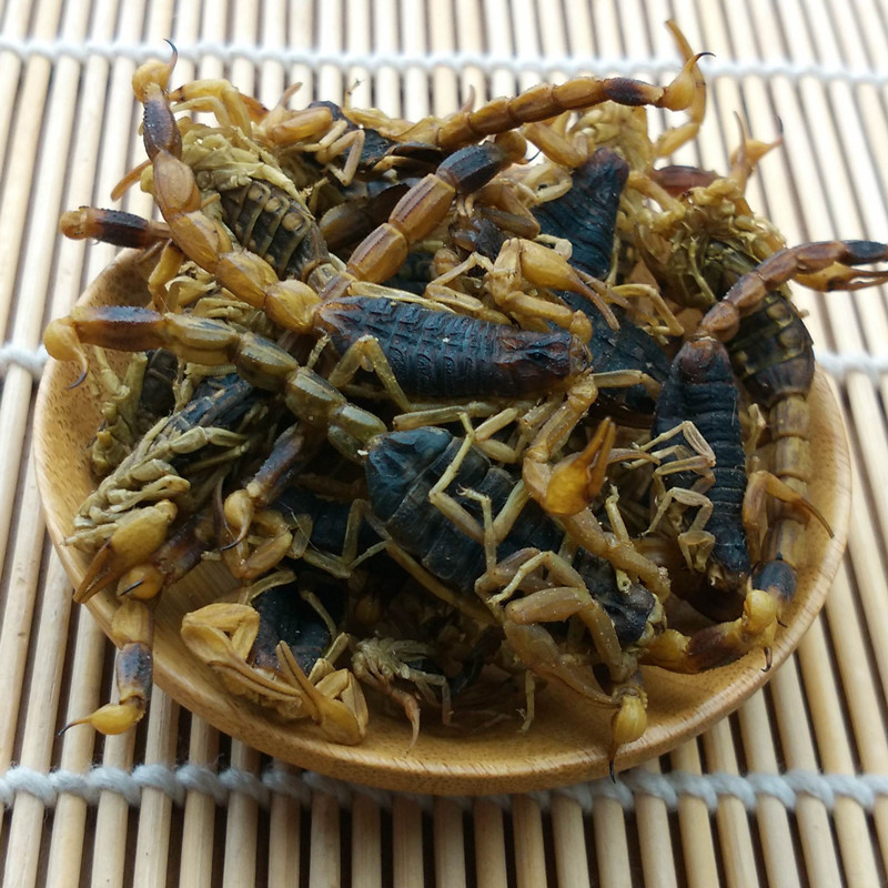 沂蒙山全蝎_批发 沂蒙山全蝎 十足全蝎 活蝎子