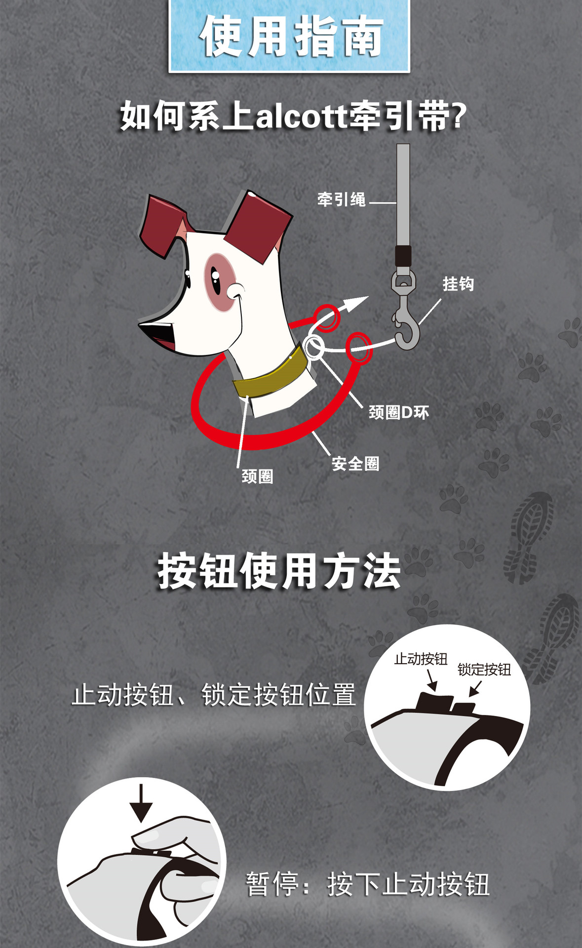 进口自动伸缩牵引带 宠物牵引绳 狗绳 狗链 多款可选 宠物用品