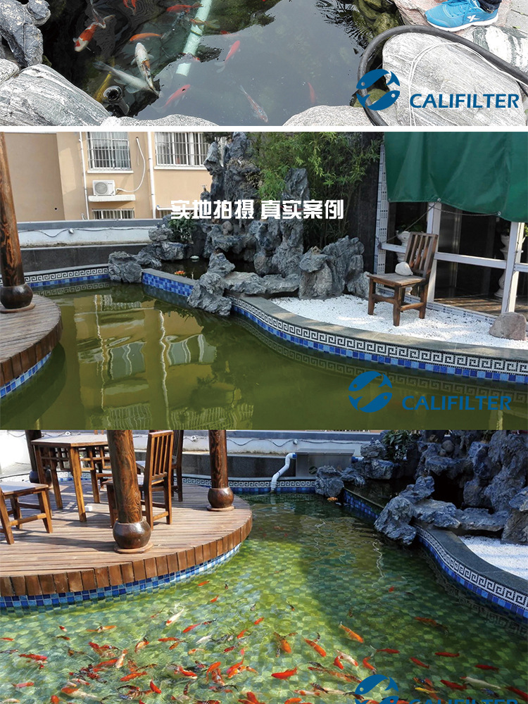 TB2TdnzgXXXXXapXXXXXXXXXXXX_!!