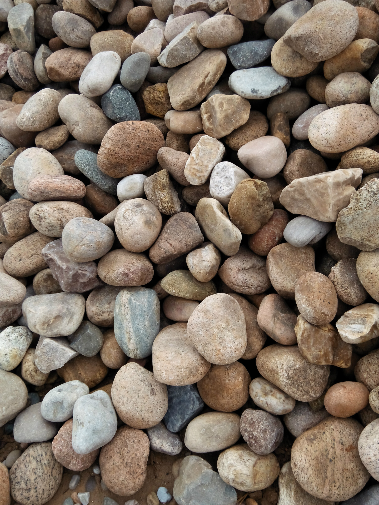 大量供应 鹅卵石 天然河卵石 机制鹅卵石 多种颜色 园林建设用