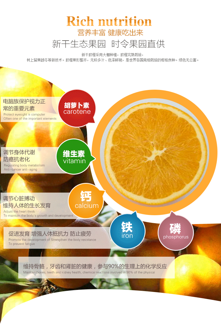 【预售】江西特产脐橙 新鲜水果 原生态赣南脐橙18斤果径50