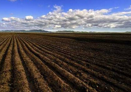 真相在这里,为什么黑土地种出的润仕米这么好吃?