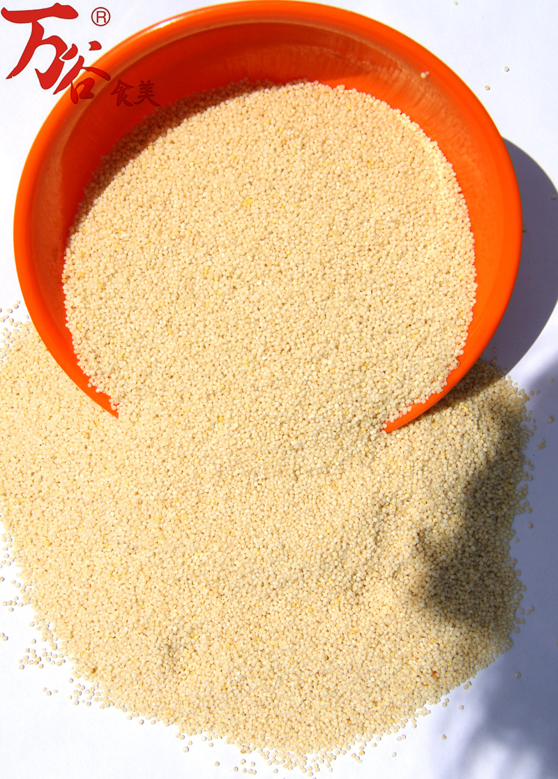 白小米 万谷食美 杂粮 批发 白色小米 小米 铃铛米 东北小米