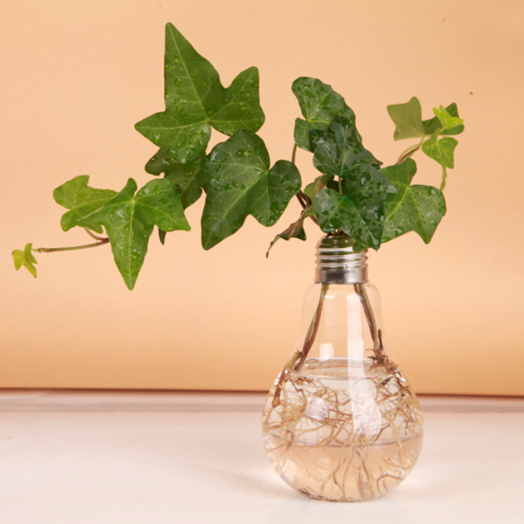 透明玻璃灯泡花瓶吊瓶悬挂生态瓶绿植水培玻璃瓶客厅时尚创意摆件