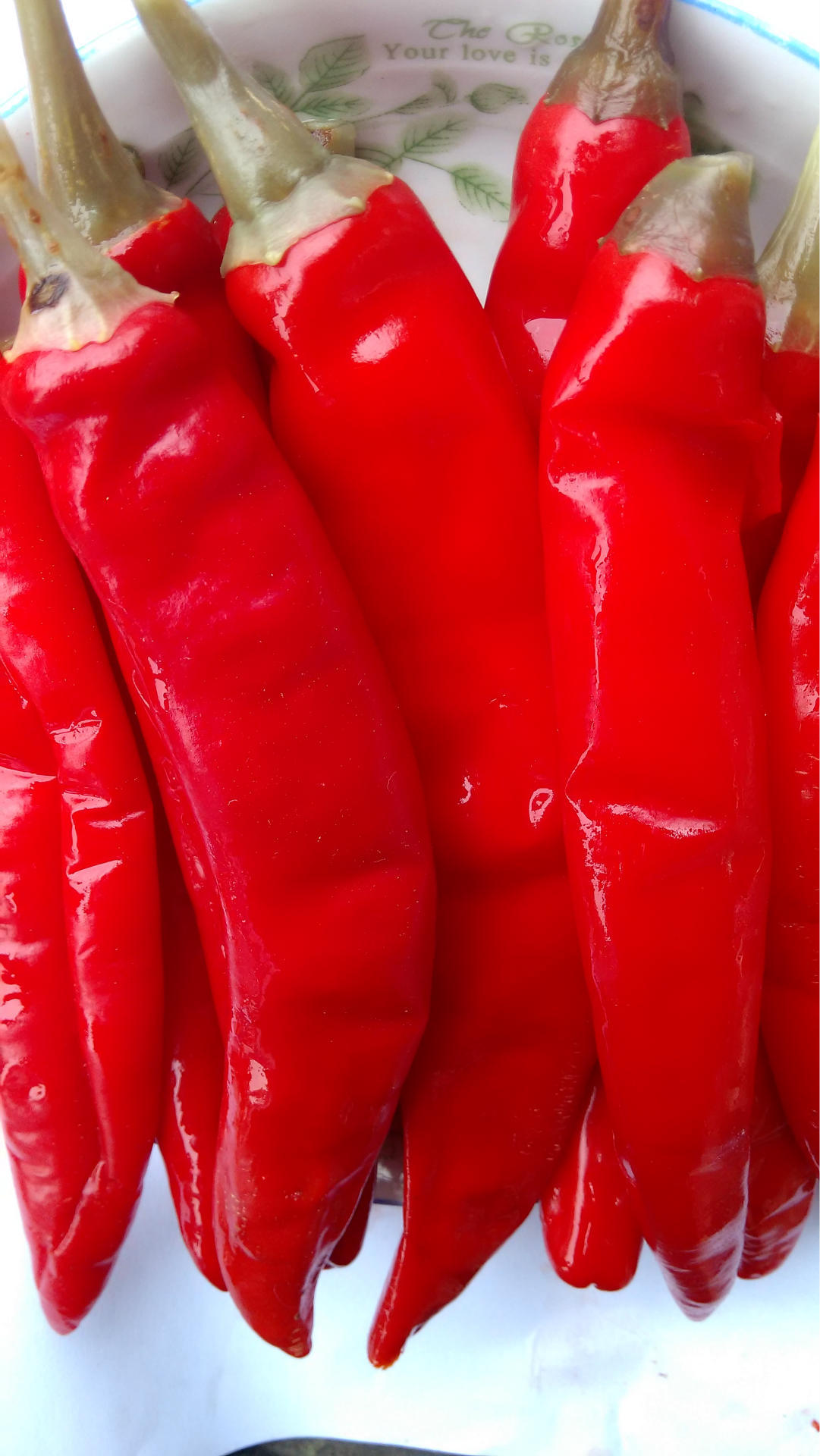 四川特产泡椒老坛泡红美人椒红辣椒泡红椒泡菜酱腌菜散装批发