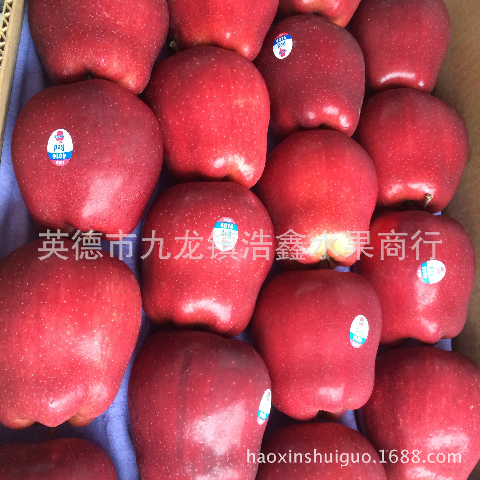 新鲜水果 红蛇果 香脆可口 蛇苹果 水果批发 团购