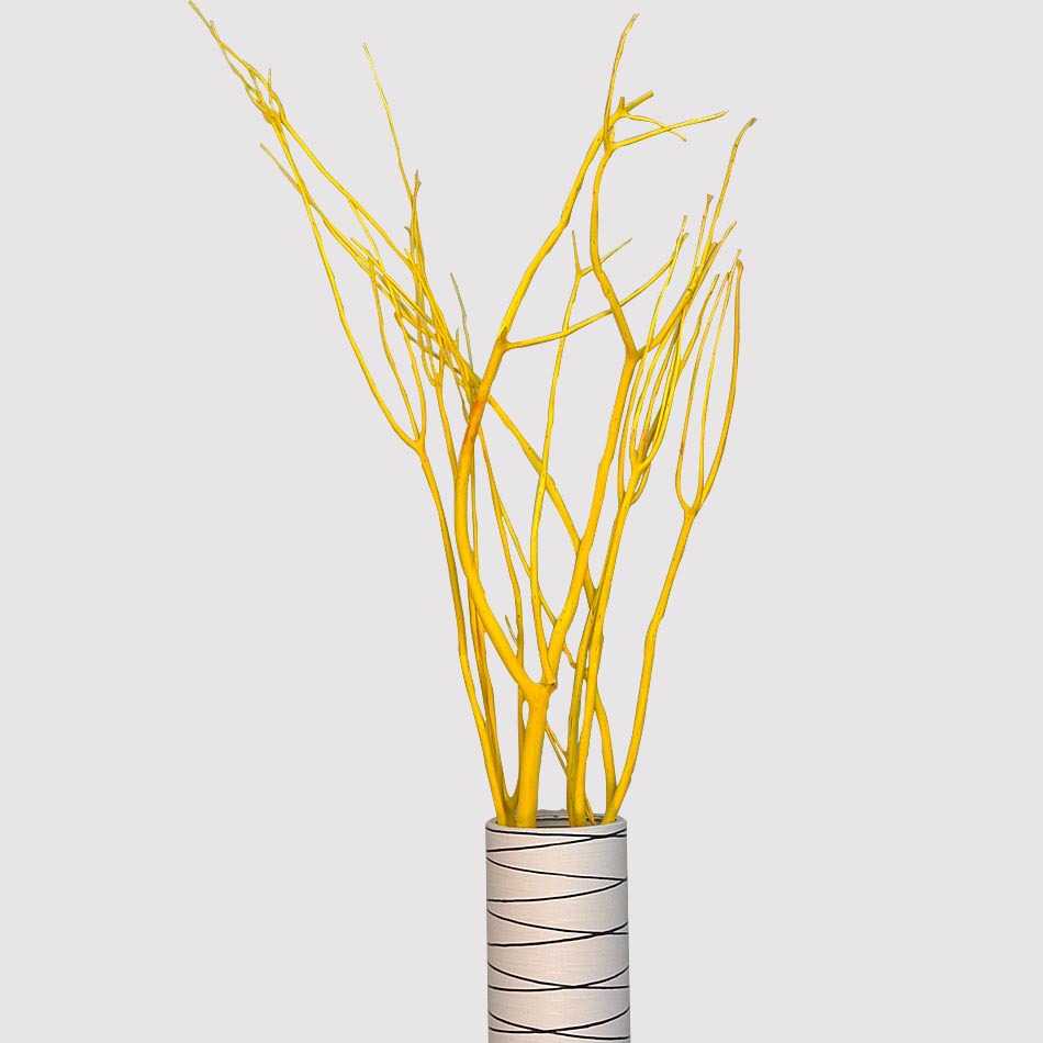 天然树枝三叉木 艺术干花落地干支装饰橱窗 客厅玄关隔断创意干枝
