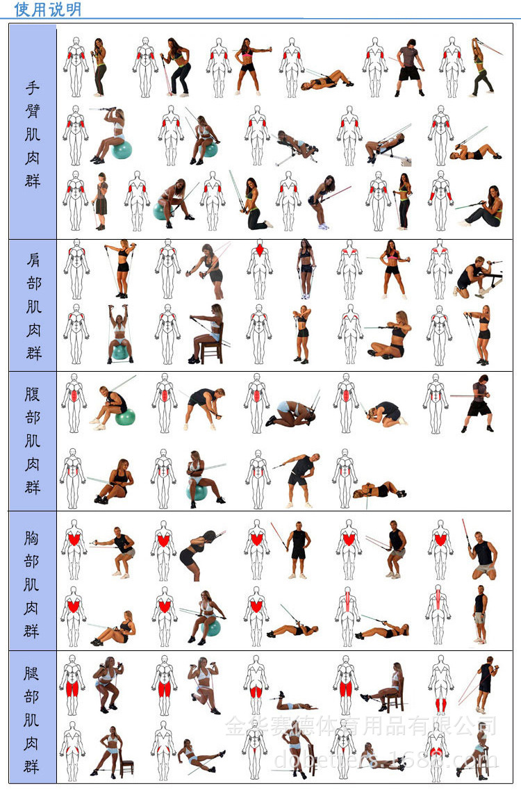 专业健身一字拉力绳乳胶拉力器阻力带弹力绳拉力器力量训练套装