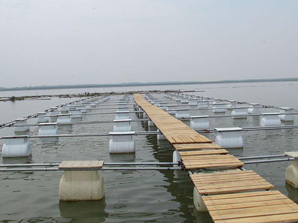 青岛厂家直销 专业养殖网箱 规格齐全 【图】