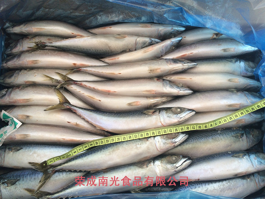 200g���� (3)