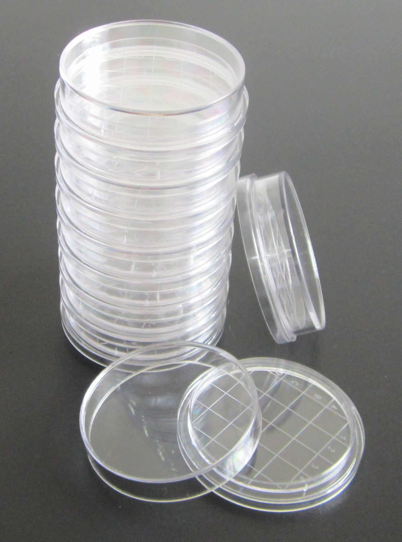 培养皿_漯河市金田试验设备研究所 - 中国办公批发交易网