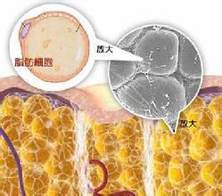 减肥时脂肪燃烧是什么感觉