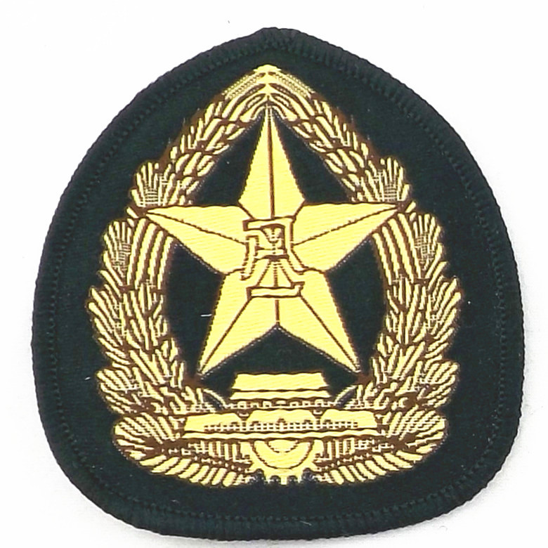 八一 臂章_副本