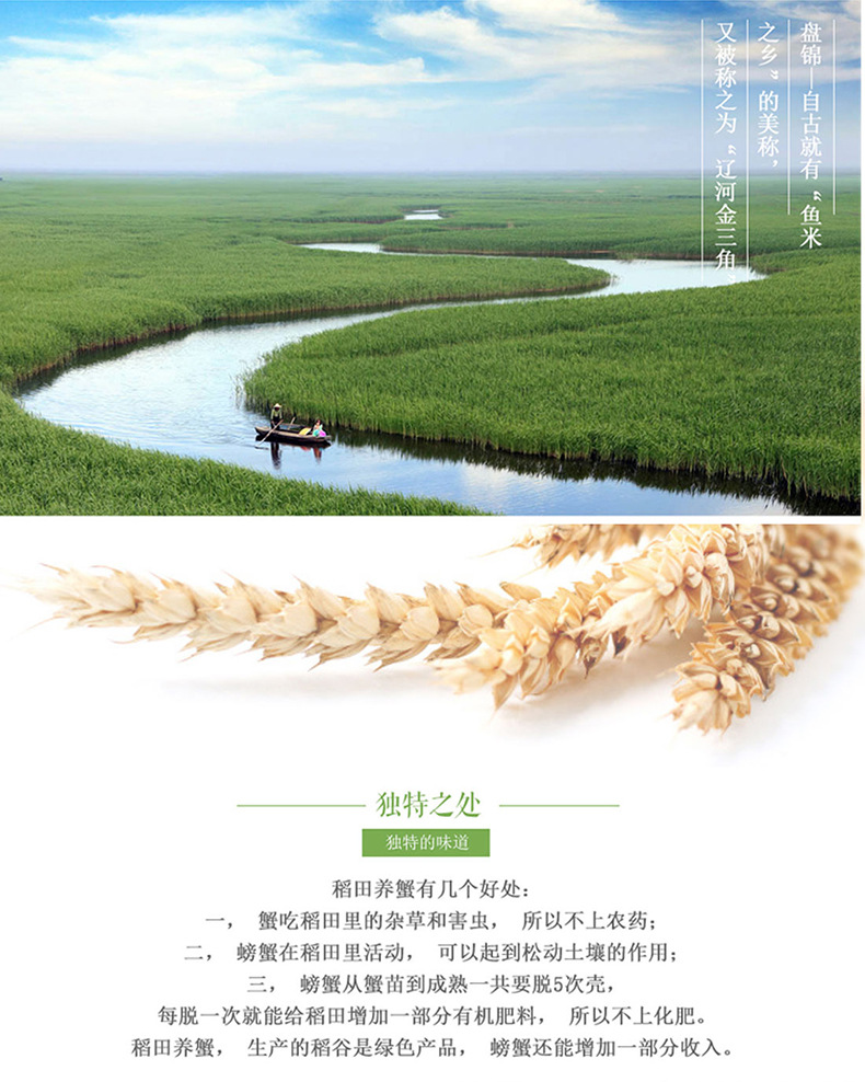 招商 蟹田有机富硒大米 绿色健康富硒大米 盐丰稻米 无公害食品