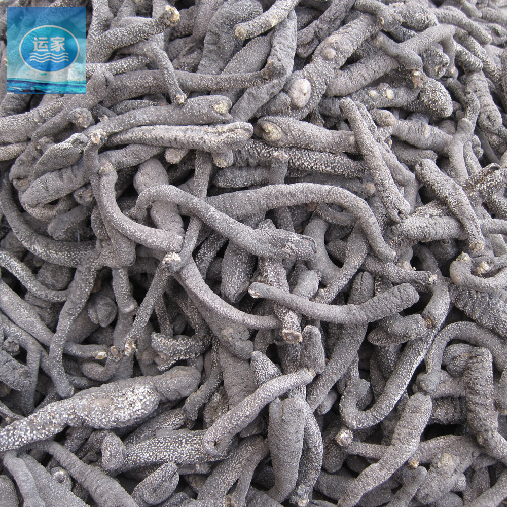 电白海参_电白海参批发 黑花蛇参白花蛇海参干货批发15