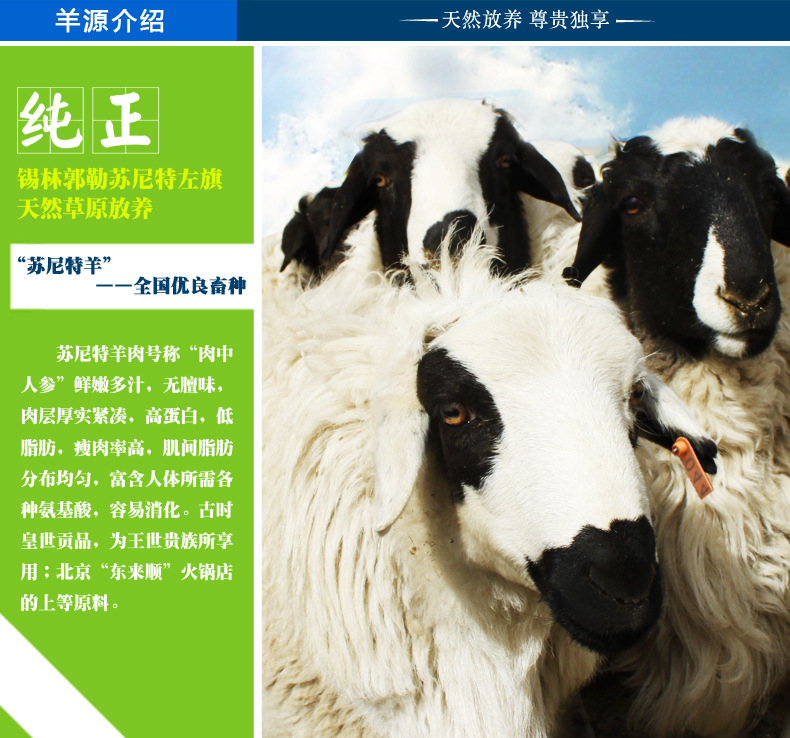 内蒙古羊肉 锡盟苏尼特羊肉批发 新鲜白条羊肉 批发 草原羊.