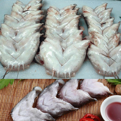 巢湖三珍鮰鱼唇清江鱼唇 鱼下巴厂家供应批发酒店食材