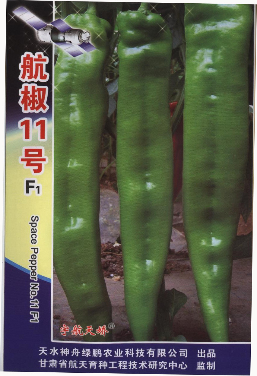 厂家批发 航椒11号辣椒种子5g/袋