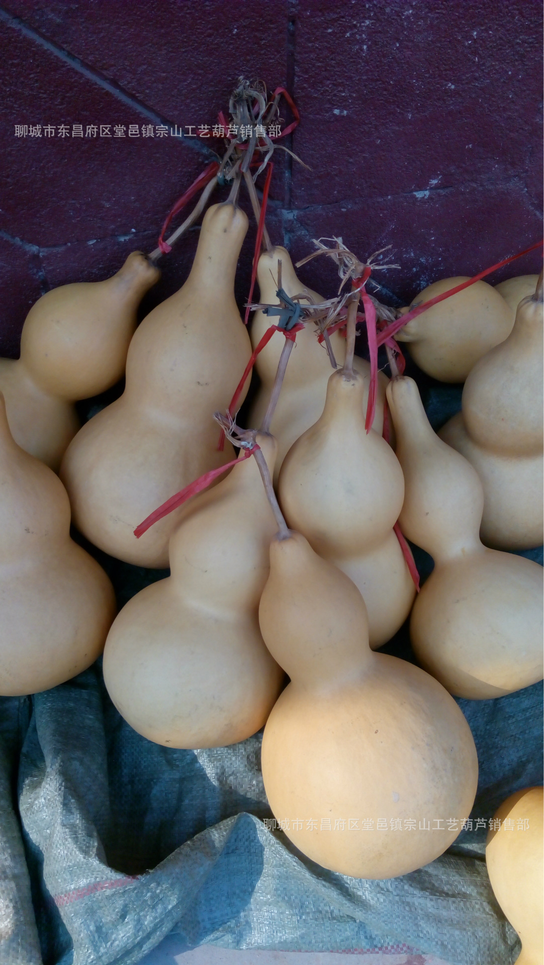 批发大葫芦 35---45厘米厂家处理尾货-阿里巴巴