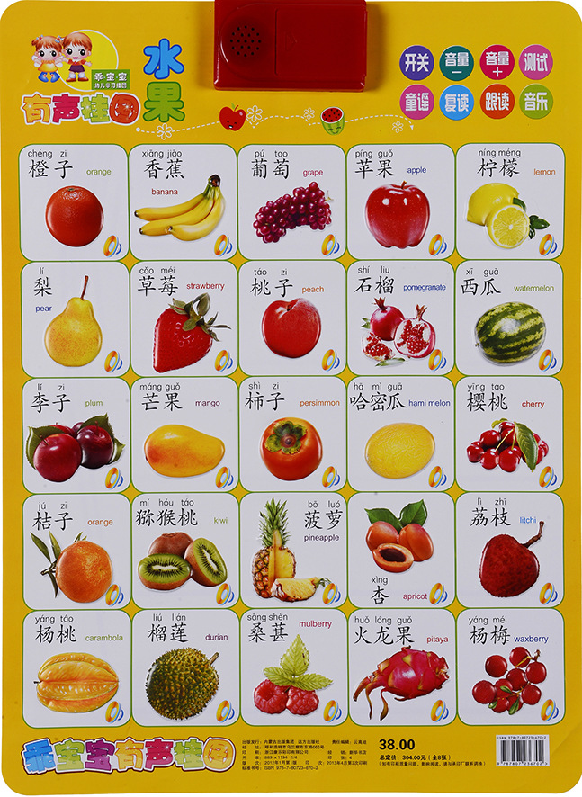 乖宝宝早教启蒙有声挂图 凹凸发声挂图 语音挂图练习图册