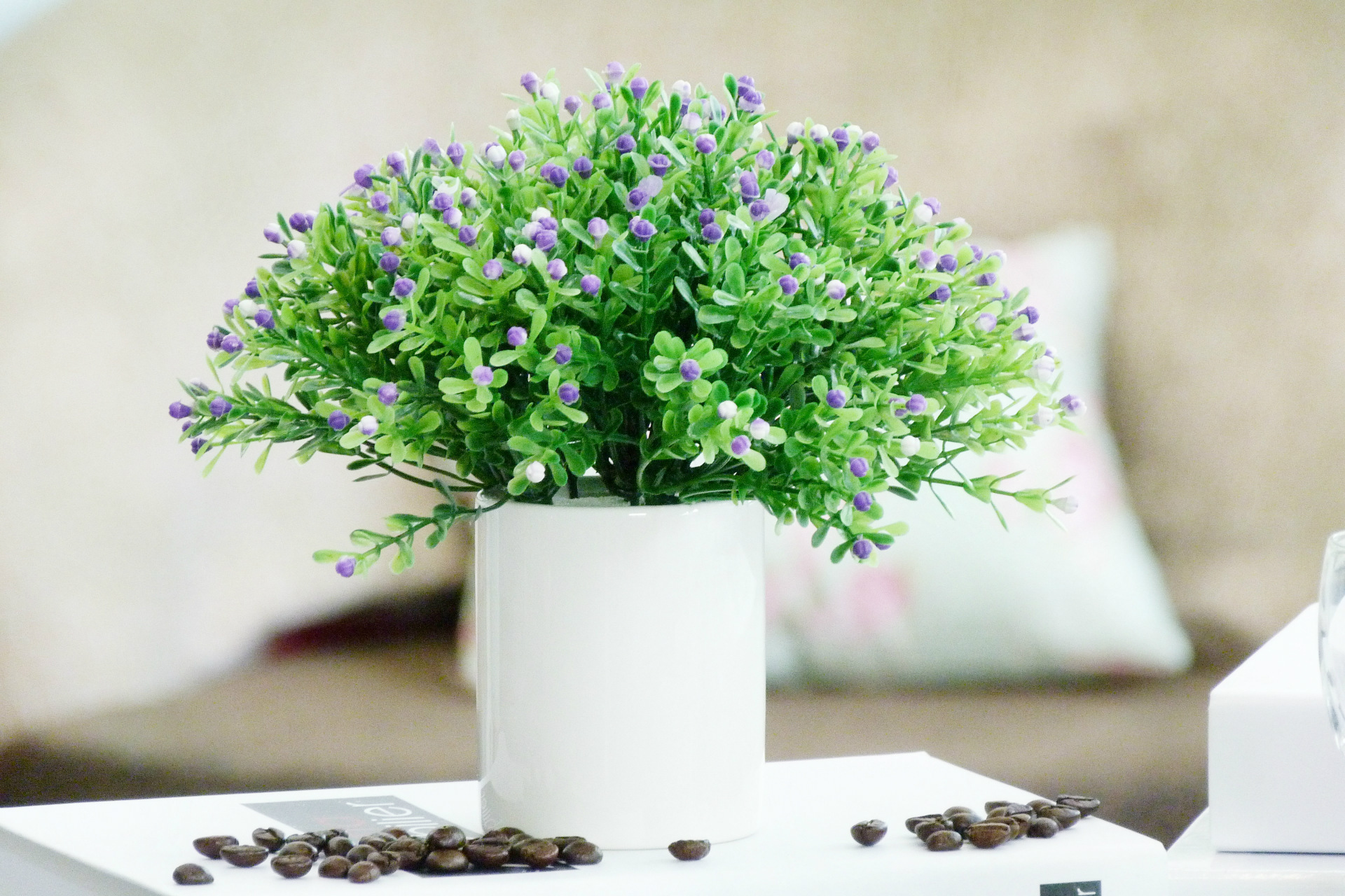 批发供应小清新迷你白色高温陶瓷多肉花盆花