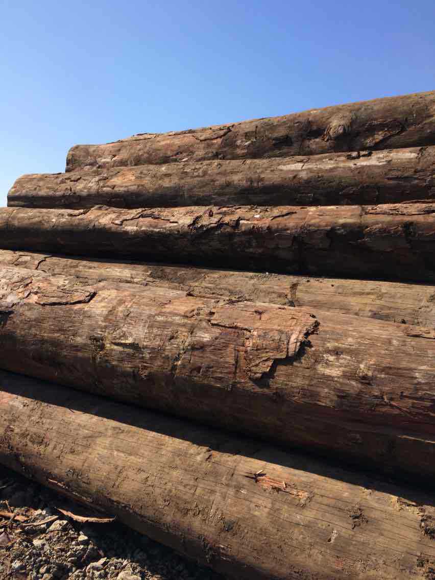 经销批发巴新进口第伦桃原木 高硬度实木木材板材 生态木板材