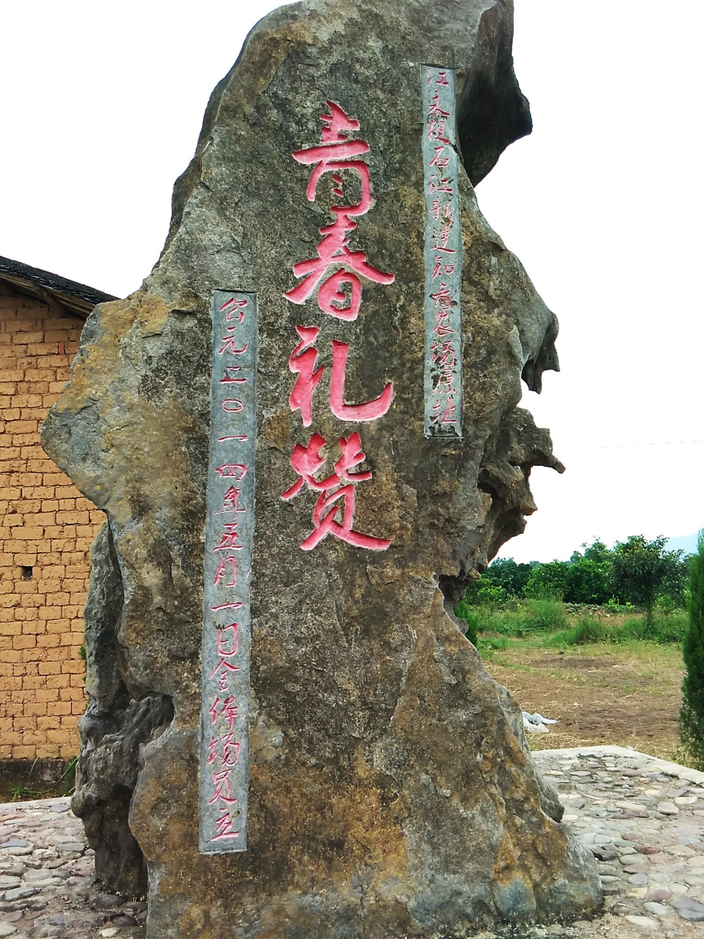 预售沙田柚 江永香柚 新鲜水果批发 中国香柚之乡-江永