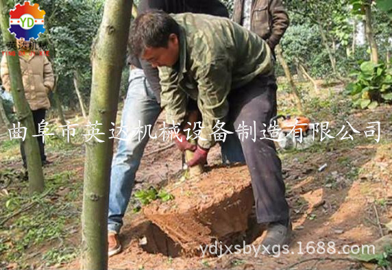 【英达】铲头挖树机价格_优质锯齿式挖树机批发/链条起球机图片