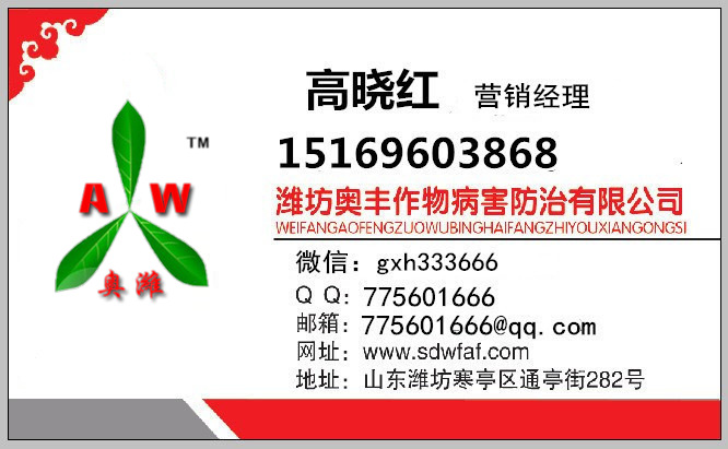 靓果安 大蒜油治疗 芒果炭疽病 白粉病 叶斑病害