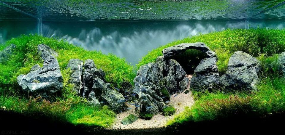 造景石 鱼缸水族箱造景 青龙石 云雾石 批发 鱼缸造景石头装饰