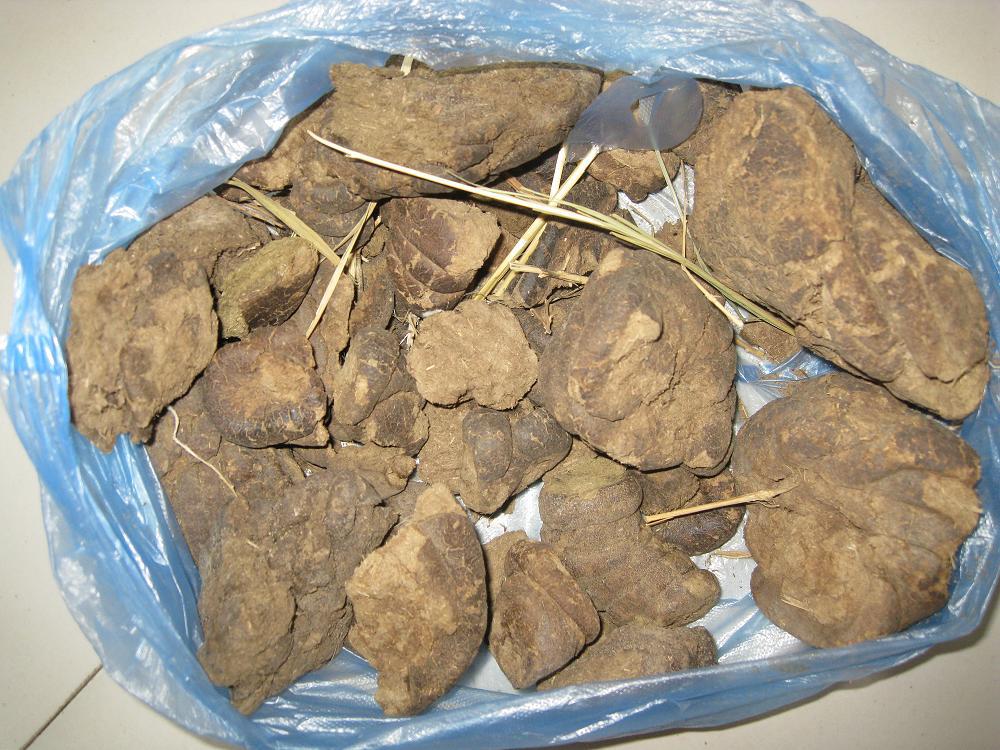 内蒙古纯干牛粪
