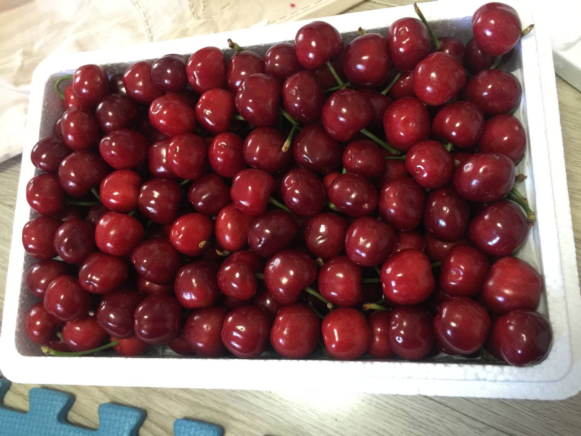 山东烟台福山大樱桃 美早樱桃 无公害现摘现发