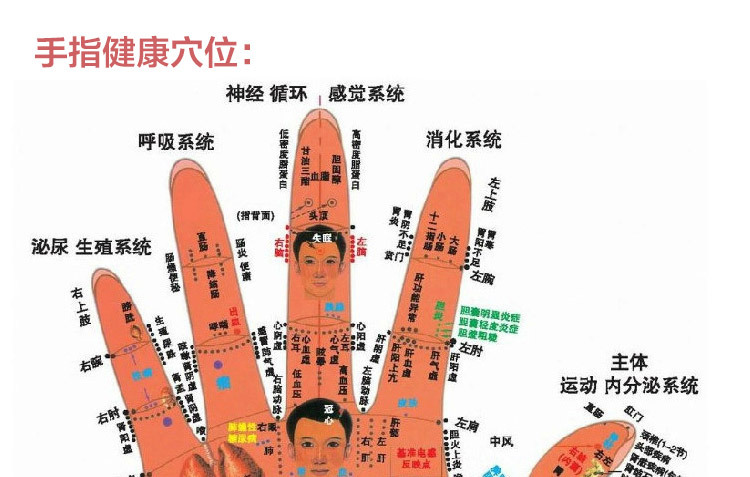 手指按摩器 瘦手指弹力滚轮手指按摩器手指关节保健按摩器 批发