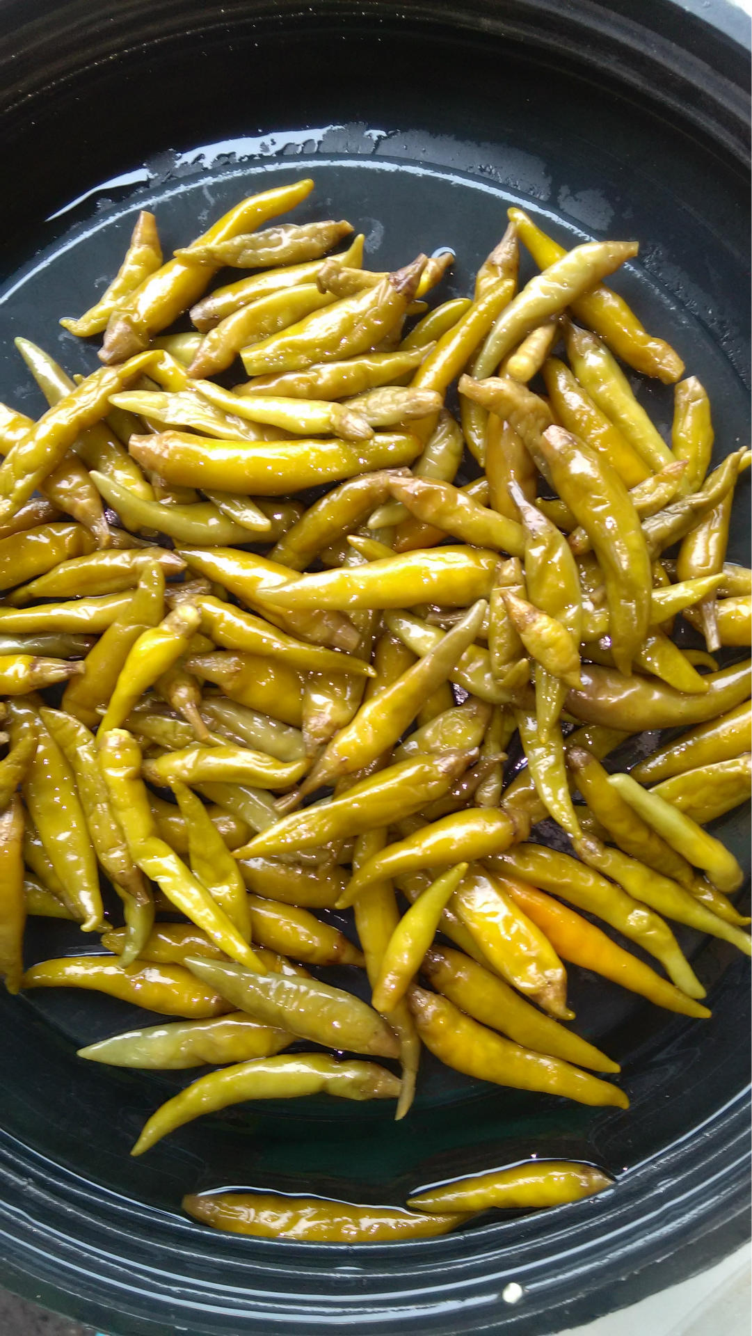 四川特产泡朝天椒新鲜泡椒墨鱼仔专用30kg圆泡椒泡红椒泡菜批发